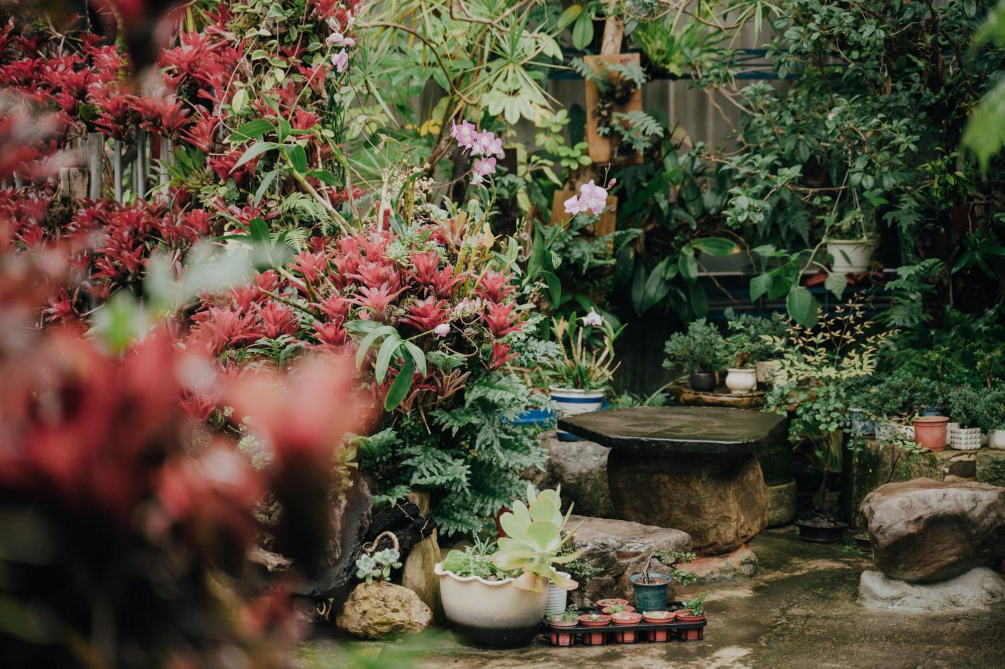 蘊慢築 茶花藝主題民宿 Yun Man Zhu Homestay Gongguan ภายนอก รูปภาพ